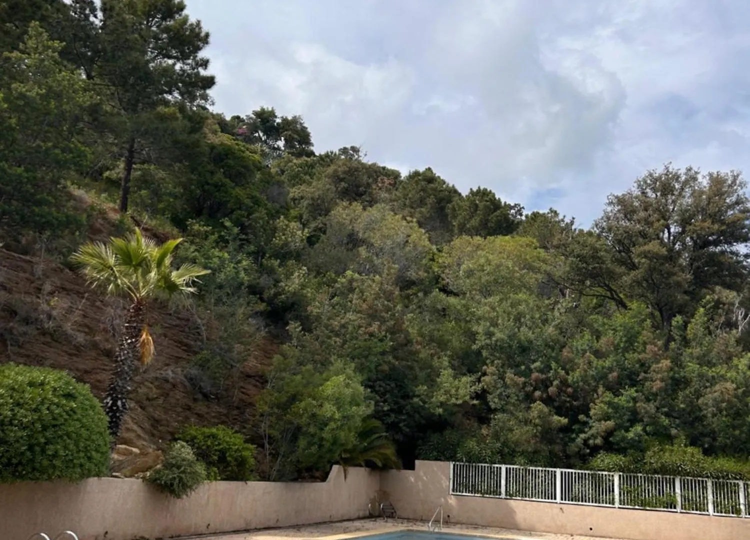 Splendide Vue Mer Rayol-Canadel-sur-Mer Apartment